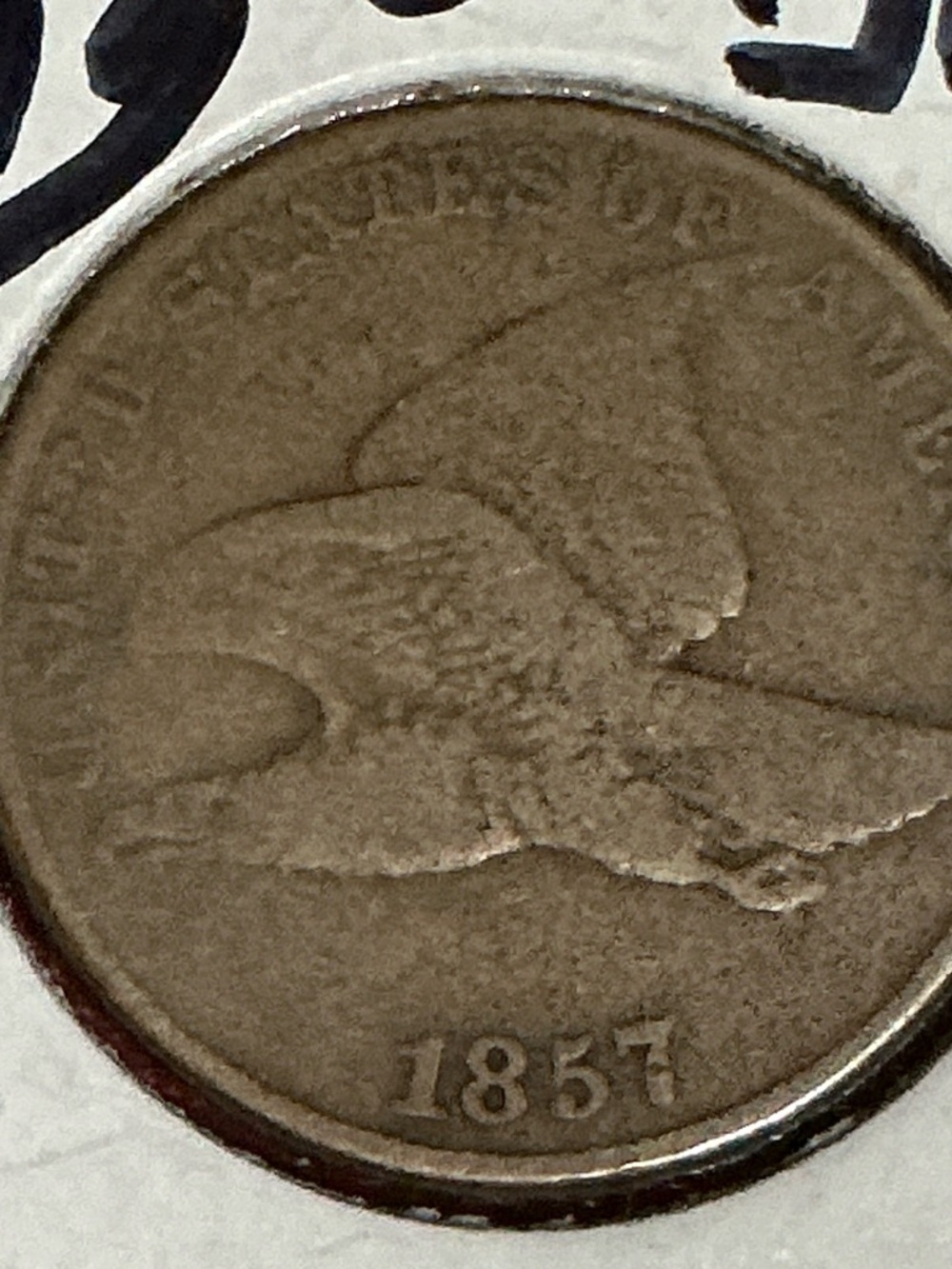 1857 Flying Eagle Cent Coin - Brown - Picture 3 of 5